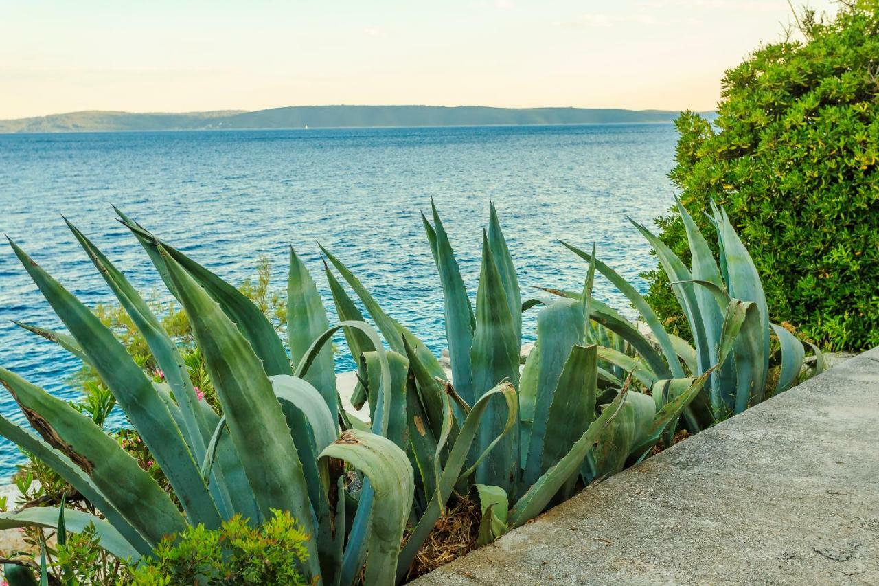 Holiday Home Lola, Sea On A Palm! Heated Pool Trogir Eksteriør bilde